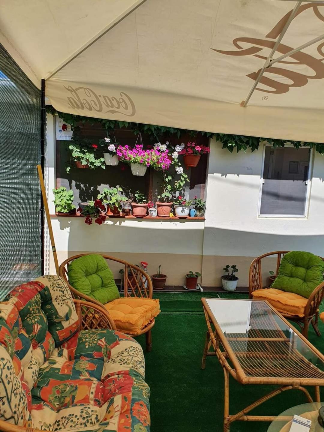 ホテル Vila Robert Schitu エクステリア 写真
