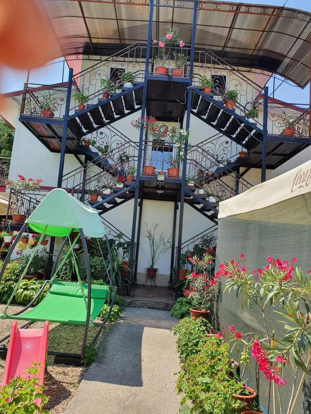 ホテル Vila Robert Schitu エクステリア 写真